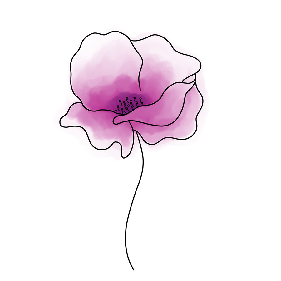 KolibriDesign Illustration Blume
