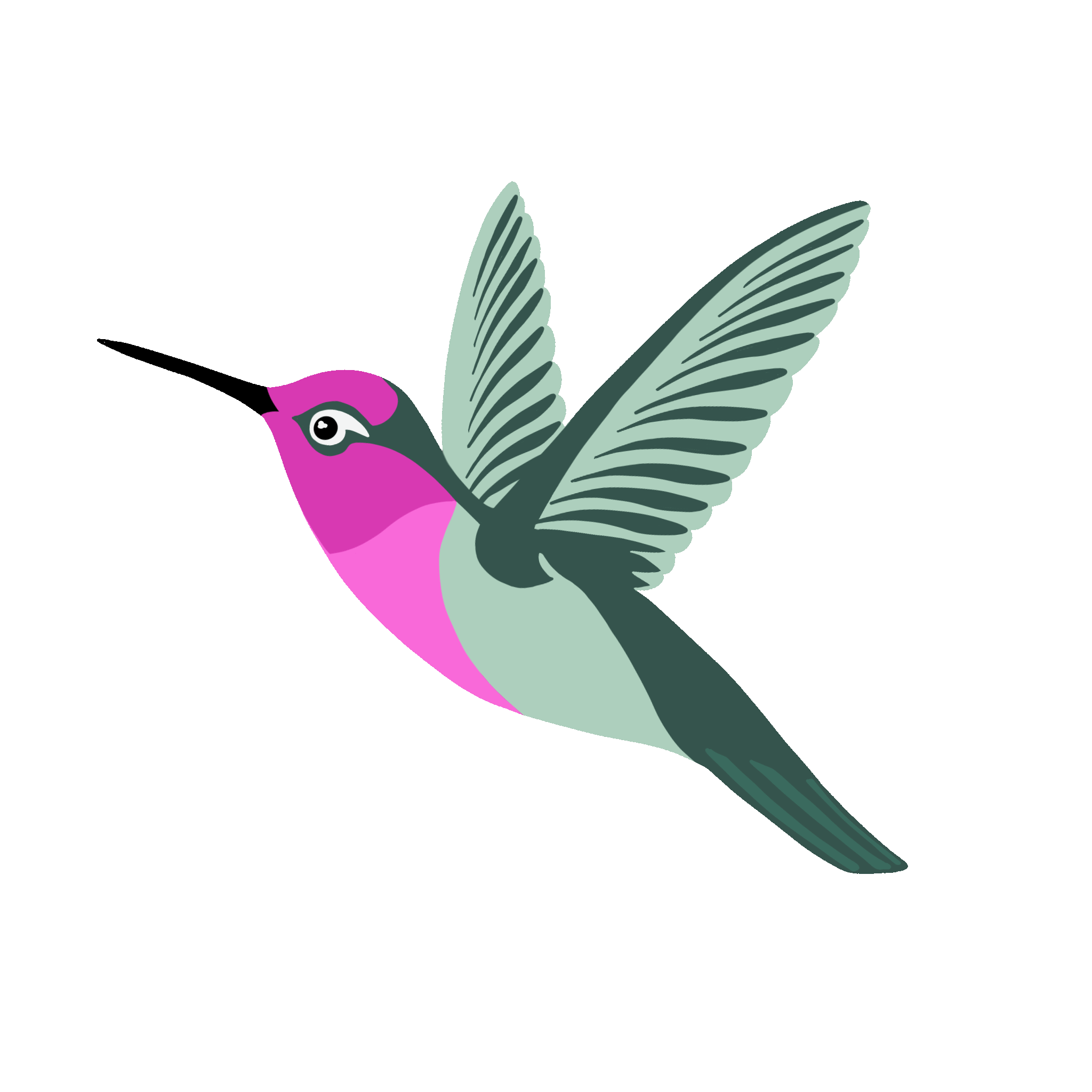Animierter Kolibri für den Kolibri Kreativ Letter